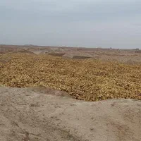 آجرسفال آجر گری آجر سفال آجرگری مصالح ساختمانی