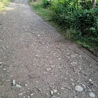 فروش زمین باغ چای۲۵۴ متری در لاهیجان/آهندان|فروش زمین و ملک کلنگی|لاهیجان, آهندان|دیوار