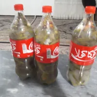 خیارشور تازه|خوردنی و آشامیدنی|همدان, |دیوار