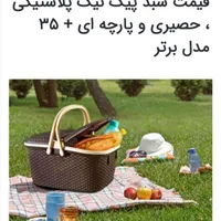 سبد مسافرتی قهوه ای