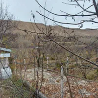 جواز ساخت/سند/باغ مثمر نام آور|فروش دفتر صنعتی، کشاورزی، تجاری|فیروزکوه, |دیوار