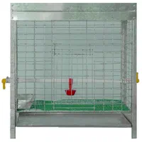 * قفس مرغ / قفس کبوتر / قفس بلدرچین|لوازم جانبی حیوانات|بوکان, |دیوار