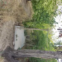 اجاره باغ سالیانه. کوشک|اجارهٔ خانه و ویلا|اصفهان, نصرآباد|دیوار