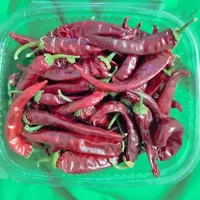 ترشی گاوزبان گل محمدی عناب سبزی خشک|خوردنی و آشامیدنی|یزد, |دیوار