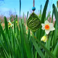 کربلا ( اربعین 1404)ویژه خواهران و خانواده اقساطی