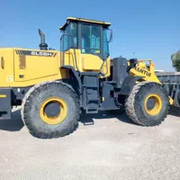 اجاره دهنده لودرzl50 بیل