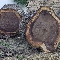 چوب بر|خدمات باغبانی و درختکاری|نظرآباد, |دیوار