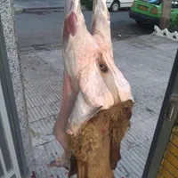 قصاب و سلاخی  گاو .. کوسفند ..