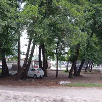 اجاره روزانه ویلالب ساحل در دو طبقه ویو روبه دریا|اجارهٔ کوتاهمدت ویلا و باغ|چالوس, |دیوار