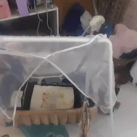 گهواره