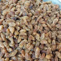 خرید و فروش عمده مویز و کشمش پاک کرده|عمده‌فروشی|شیراز, فرگاز|دیوار