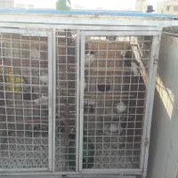 گنجه فلزی|لوازم جانبی حیوانات|تهران, نعمت‌آباد|دیوار