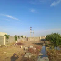 باغ ۵۰۰ متری ۴دیواری پلاک اول|فروش دفتر صنعتی، کشاورزی، تجاری|اصفهان, کشاورزی|دیوار