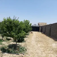 زمین مسکونی ۳۷۵ متر(سند تک برگ) غرب استان تهران|فروش زمین و ملک کلنگی|تهران, جنت‌آباد شمالی|دیوار