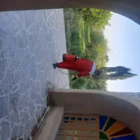 شرکت سمپاشی سوسک ریز،موریانه زدایی،ساس سم پاشی مار|خدمات نظافت|بهبهان, |دیوار