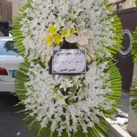 گل فروشی عمده و تک تاج گل|گل و گیاه طبیعی|تهران, توحید|دیوار