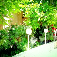 باغ ویلایی دربست/قلب بیشه جنگلی ناژوان/شیک|اجارهٔ کوتاه‌مدت ویلا و باغ|اصفهان, ناژوان|دیوار