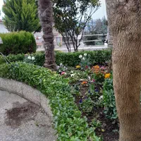 خدمات باغبانی وباغداری،گلکاری، تراش،سمپاشی|خدمات باغبانی و درختکاری|رامسر, |دیوار