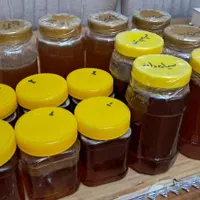 عسل‌های ارگانیک در انواع مختلف|خوردنی و آشامیدنی|شاهین‌شهر, فردوسی|دیوار