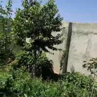فروش باغچه باغی زمین چهار دیواری سهیلیه ۴۰۰ متر|فروش زمین و ملک کلنگی|کرج, کمال‌شهر|دیوار
