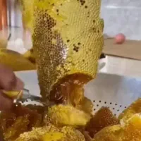 طلای خوراکی