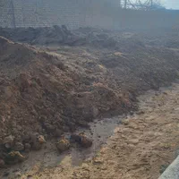 حمل کودگاوی گوسفندی|خدمات باغبانی و درختکاری|اراک, |دیوار