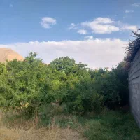 فروش  باغ قدیمی  و ثمری در شهر فاروق|فروش خانه و ویلا|مرودشت, تخت جمشید|دیوار