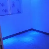 اجاره بالا ویلایی بلوار امیر کبیر|اجارهٔ آپارتمان|کرمان, |دیوار