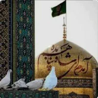 تور  مشهد ویژه و اقتصادی مرداد ماه