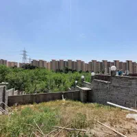 زمین چهاردیواری ۲۲۳ متر بر اصلی کوهسار با سند|فروش زمین و ملک کلنگی|تهران, شهران شمالی|دیوار