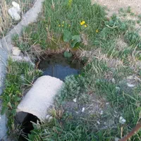 فروش باغ تنگه واشی با چشمه|فروش دفتر صنعتی، کشاورزی، تجاری|فیروزکوه, |دیوار