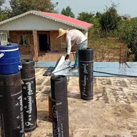 ایزوگام کاری سقف.دیوار.سرویس.حمام.استخر|خدمات پیشه و مهارت|تالش, تالش|دیوار