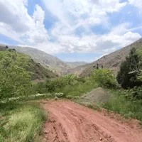 باغچه ۷۰۰ متر لواسان بزرگ قابل ساخت/جورد/وسکاره|فروش زمین و ملک کلنگی|لواسان, |دیوار