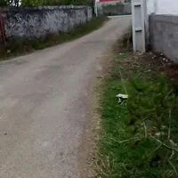 فروش  زمین مسکونی بندرانزلی روستای معاف|فروش زمین و ملک کلنگی|بندر انزلی, آذربایجان|دیوار