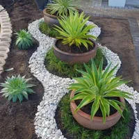 نگهداری .باغبانی.فضای سبز.کل کرج