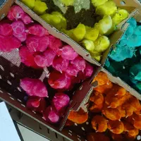 فروش جوجه اردک و جوجه رنگی|حیوانات مزرعه|کرمان, |دیوار