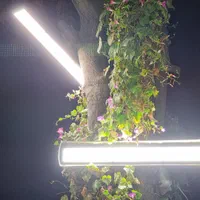 پروژکتور اس ام دی