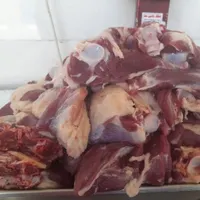 گوسفند زنده روستایی بره صحرا چریده شیشک و قوچ محلی|حیوانات مزرعه|قم, بلوار امین و ساحلی|دیوار