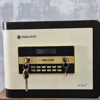 گاوصندوق سیف باکس هتلی سبک شیک با دزدگیر دیجیتال|ابزارآلات|تهران, شهرک طالقانی|دیوار