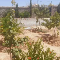 تهاترکلیدی زمین باغی۳۷۵۰متری با(اصفهان کیش شمال)|فروش دفتر صنعتی، کشاورزی، تجاری|اصفهان, بهارستان|دیوار