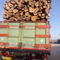 خریدچوب‌سقفی/قعط‌درخت