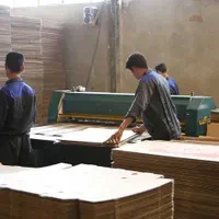 کارتن سازی و جعبه سازی جاویدان|خدمات پیشه و مهارت|خاوران, |دیوار