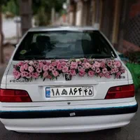لیسیانتوس صورتی(  ماشین عروس )|گل و گیاه طبیعی|کرمان, |دیوار
