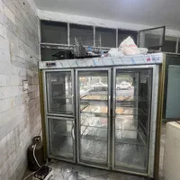یخچال ایستاده مخصوص مرغ و ماهی (فوری)|فروشگاه و مغازه|تهران, خانی آباد نو جنوبی|دیوار