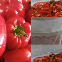 توری سبزی/میوه خشک کن|ظروف نگهدارنده، پلاستیکی، یک‌بارمصرف|الیگودرز, |دیوار