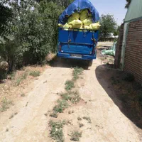 خاک.   باغچه  و  فلاورباکس  گلدان|خدمات باغبانی و درختکاری|تهران, تهرانسر شرقی|دیوار
