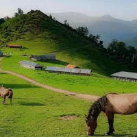 تور ۲.۵ ماسال ، گیسوم ، اولسبلانگاه|تور و چارتر|تهران, خرمشهر|دیوار