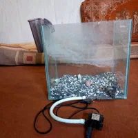 اکواریوم