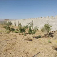 فروش زمین 900 متر نهضت آباد قعله ابراهیم خان|فروش زمین و ملک کلنگی|اصفهان, تیران|دیوار