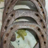نعل کارکرده و پاخورده